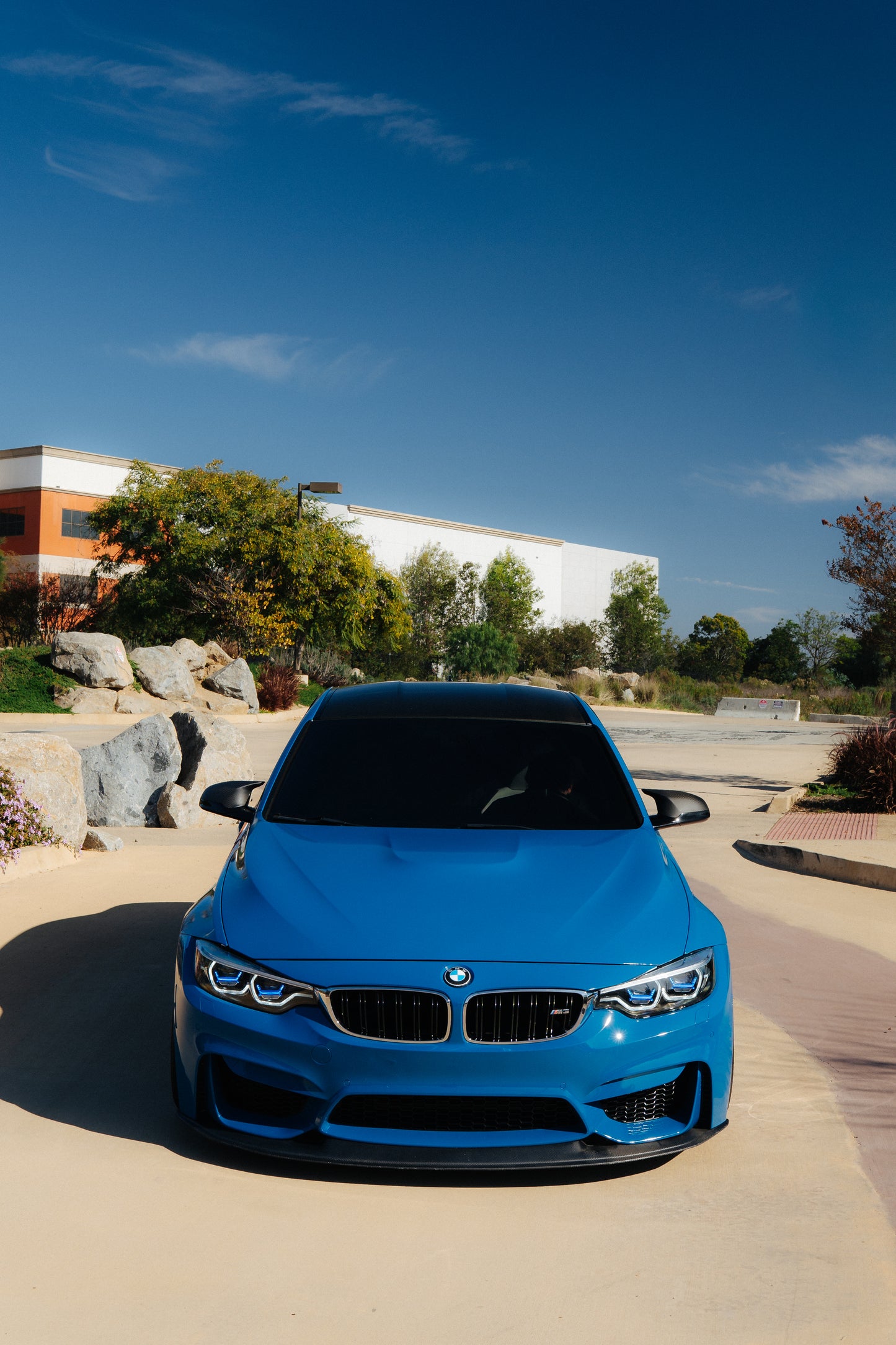 F8X Carbon Fiber J Style Front Lip