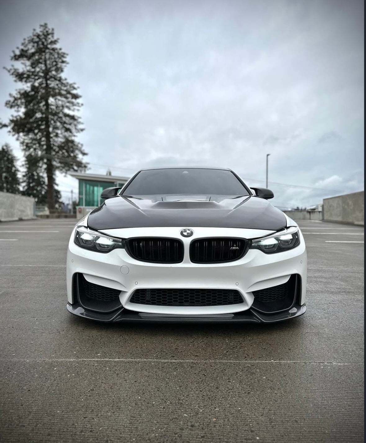 F8X Carbon Fiber Varis Style Front Lip