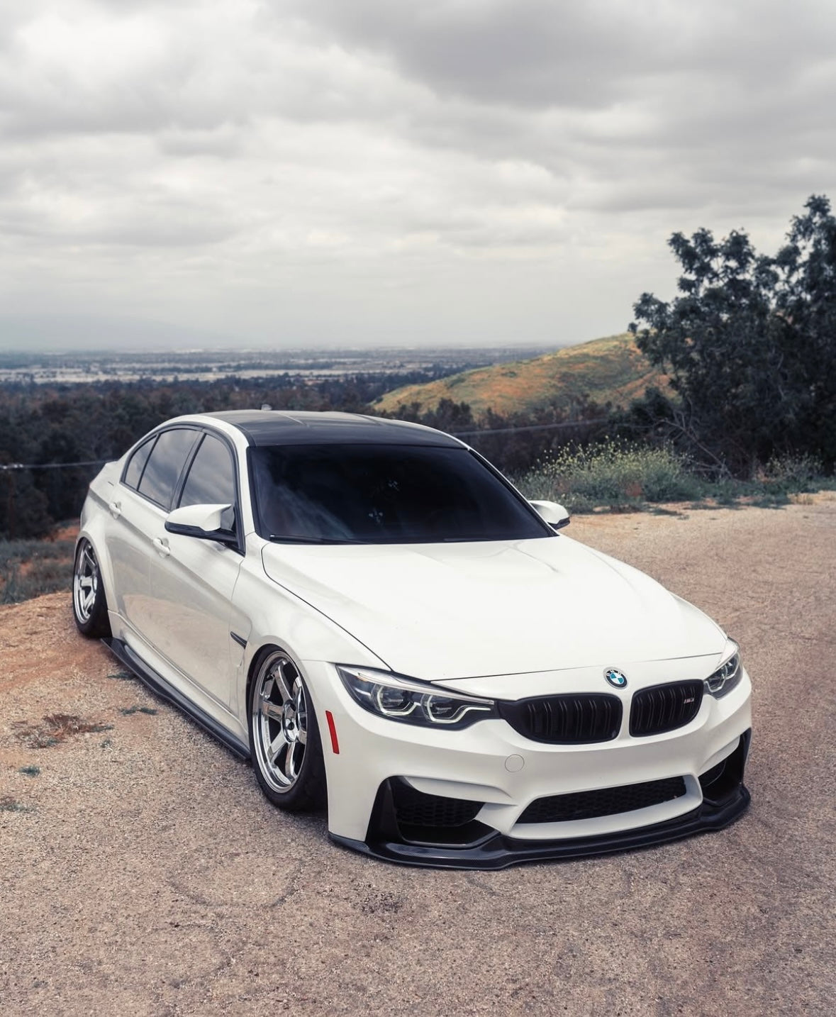 F8X Carbon Fiber V Style Front Lip