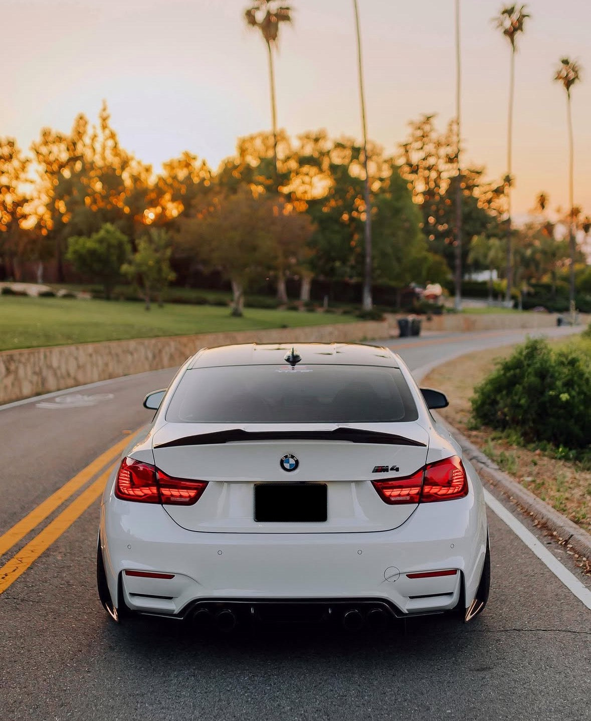 F82 Coupe Carbon Fiber PSM Style Rear Trunk Spoiler