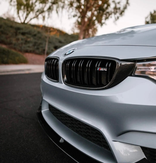 F8X Carbon Fiber Front Grills
