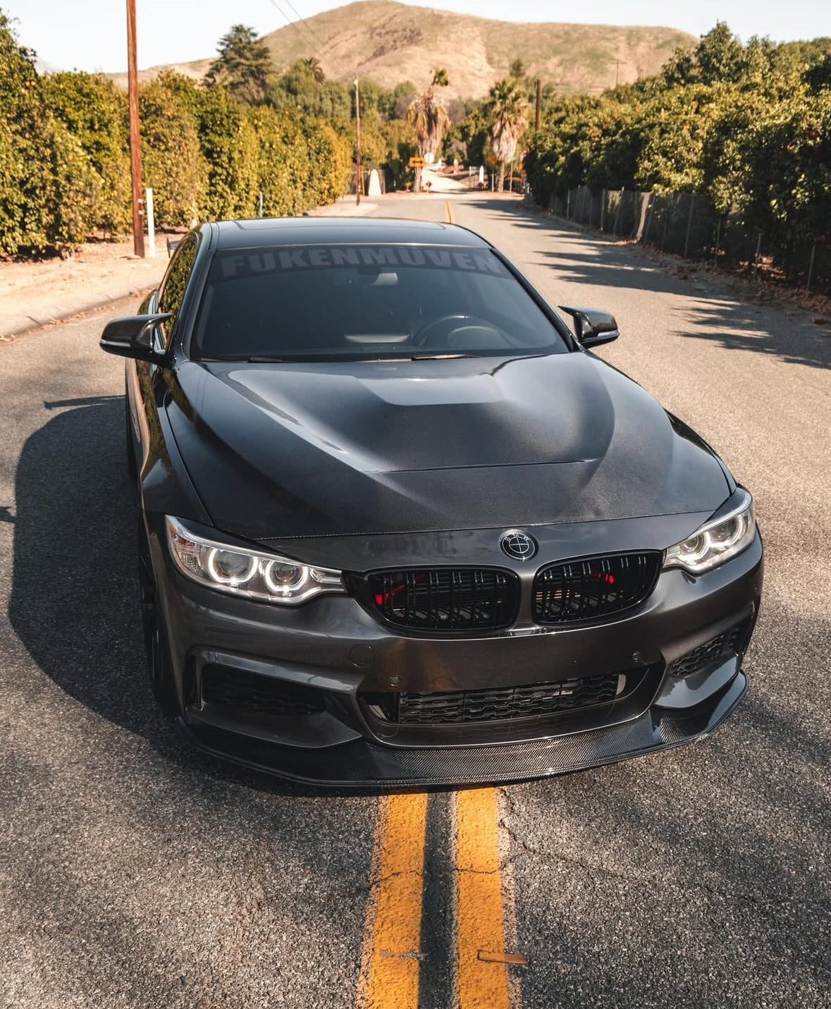 F3X Carbon Fiber JHP Style Lip